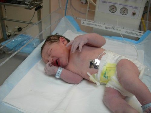 Fotolog de santinoinduni: Nacimiento