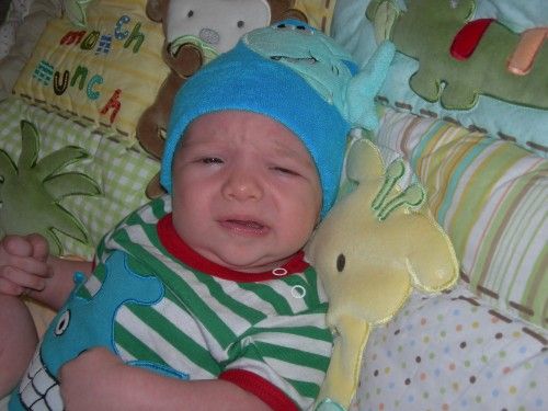 Fotolog de santinoinduni: Santino