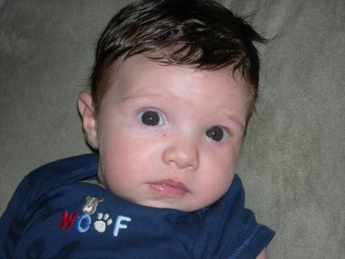 Fotolog de santinoinduni: Santino