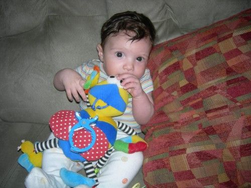 Fotolog de santinoinduni: Santino