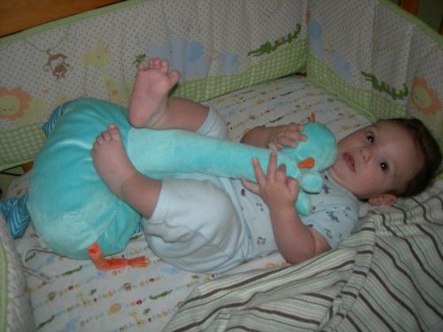 Fotolog de santinoinduni: Santino