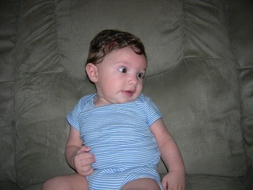 Fotolog de santinoinduni: Santino