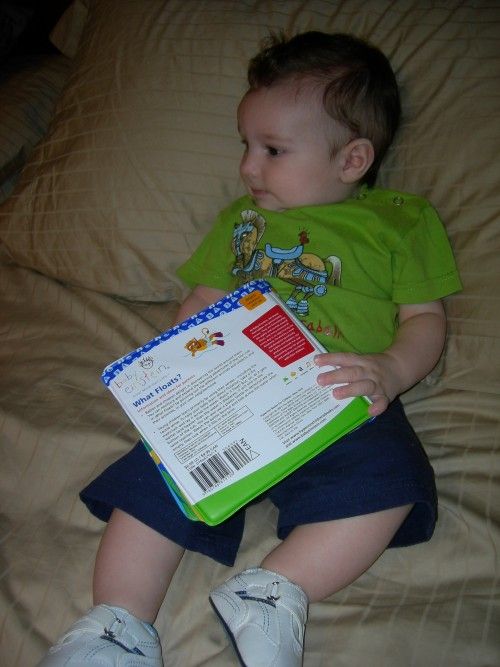 Fotolog de santinoinduni: Santino